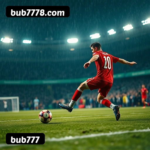 Níveis do programa VIP da bub777